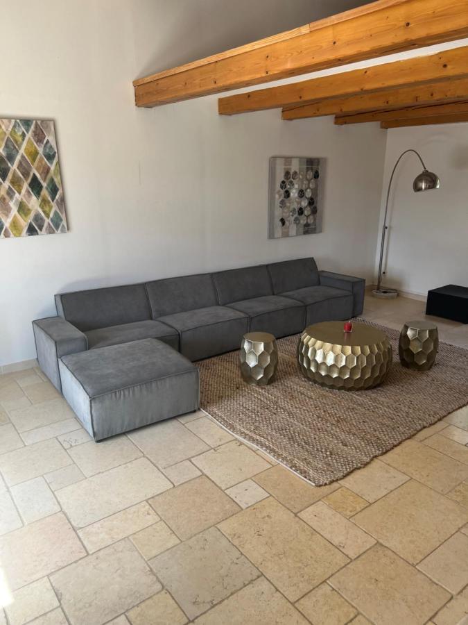 Magnifique Villa Avec Piscine Saint-Maximin 外观 照片